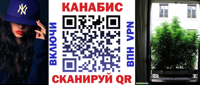 Канабис OG Kush  Северобайкальск 